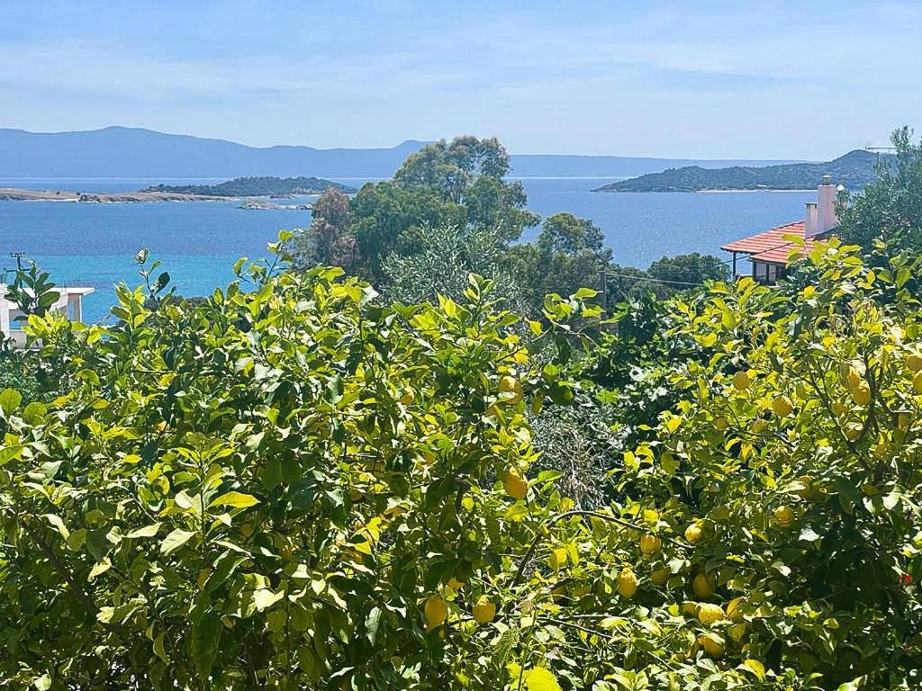 Viva Properties Ouranoupoli Bagian luar foto